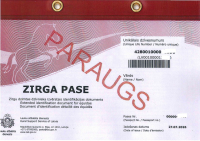 Zirga pases pirmās lapas attēlojums