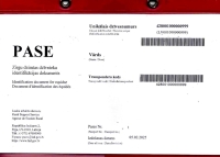 Zirga pases paraugs