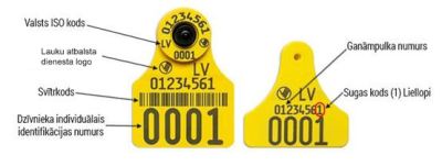 ALLFLEX elektroniskās krotālijas, apraksts