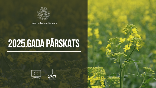 Gada pārskata informatīva ilustrācija, fonā redzami rapši.