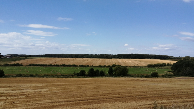 Lauku skats