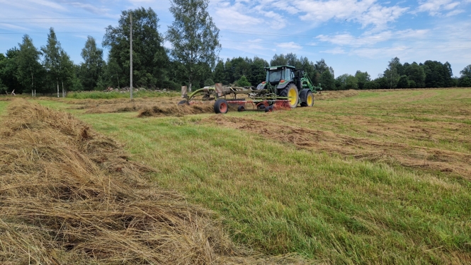 Traktors siena pļavā vālo sienu