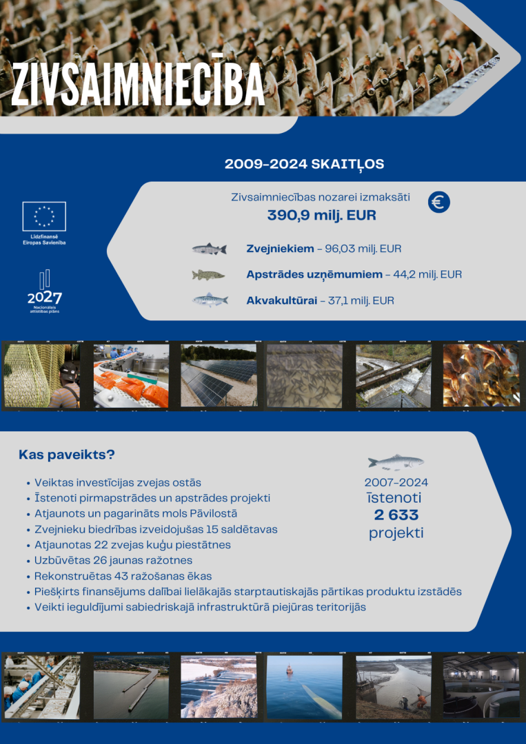 LAD svin 25 gadus - Zivsaimniecība
