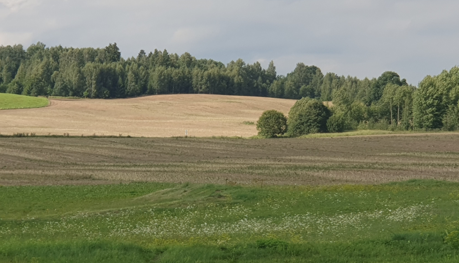 Lauku skats ar pļavu priekšplānā, uzartu lauku vidusplānā un krūmi, koku zonu fonā
