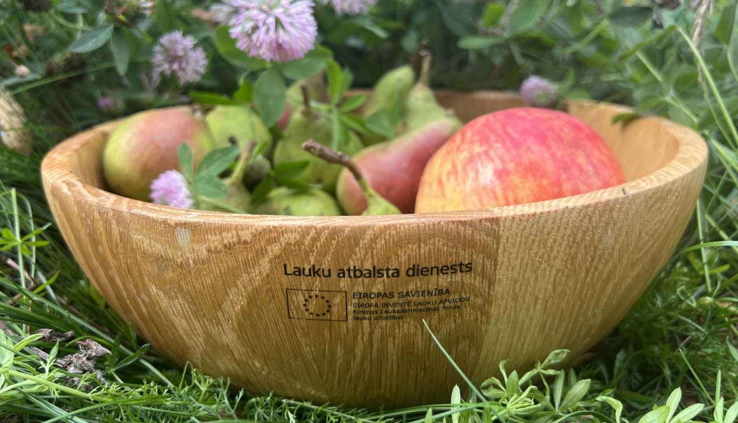 koka bļoda nolikta zālē, iekšā sarkani āboli
