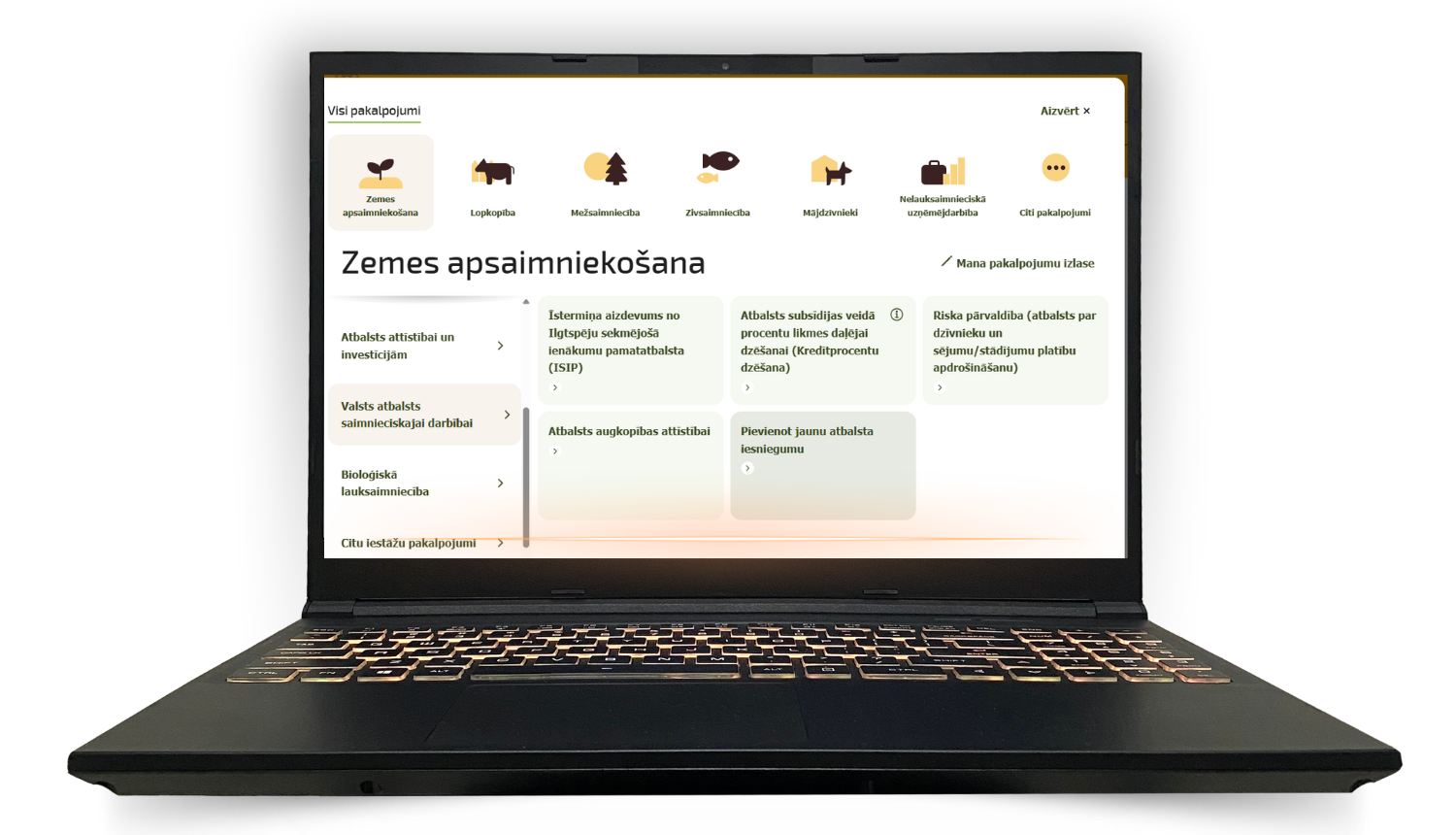 Datora ekrāns ar jaunā ESP iekšskatu