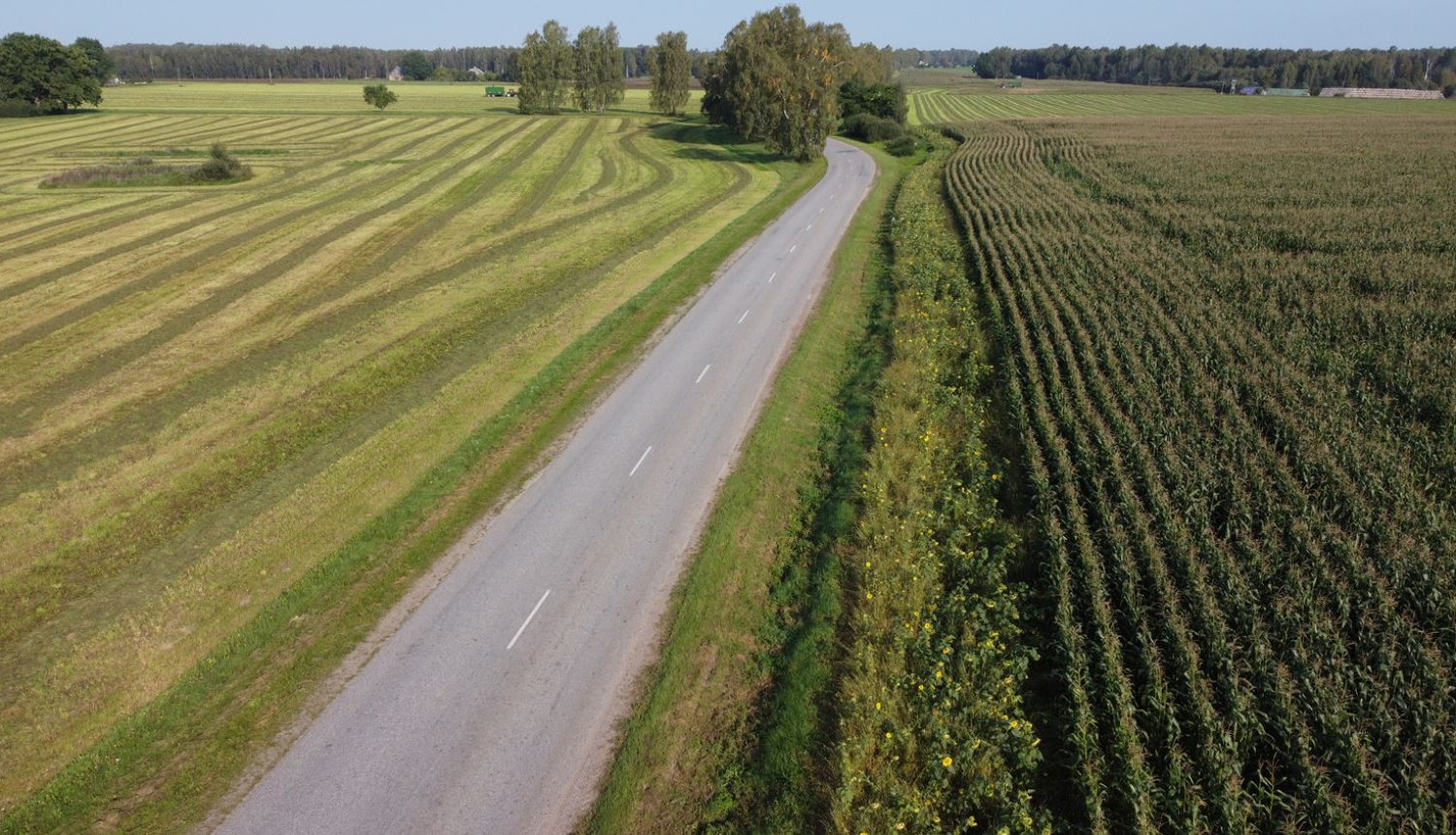 no drona fotografēts lauku ceļs tam abās pusēs lauki tālumā koki un krūmi