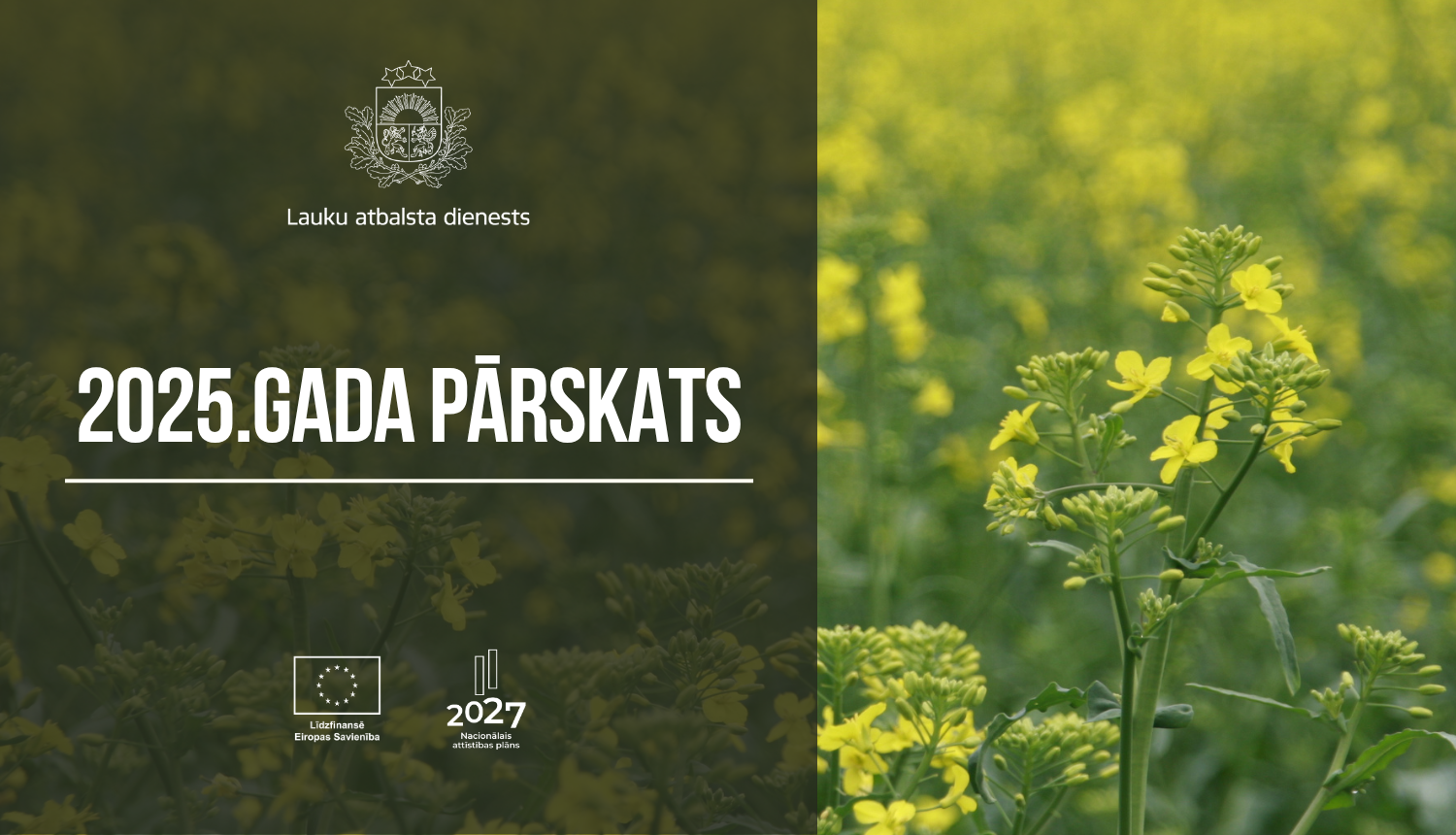 Gada pārskata informatīva ilustrācija, fonā redzami rapši.