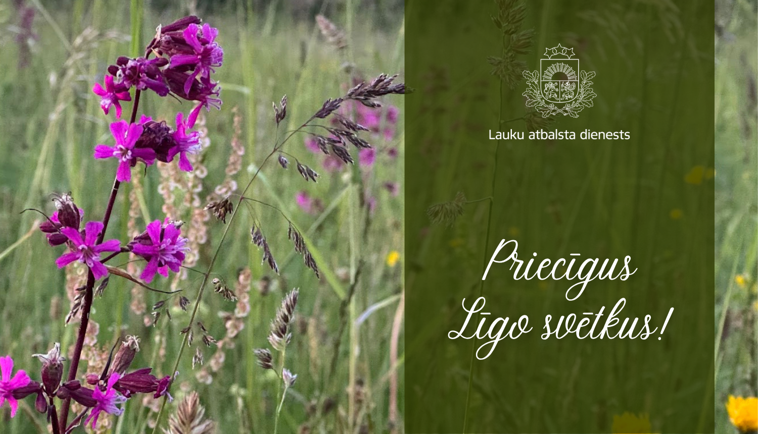 Līgo apsveikums ar LAD logo un ziedošu pļavu