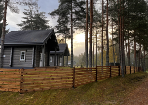 divi namiņi starp priedēm aiz koka dēļu sētas