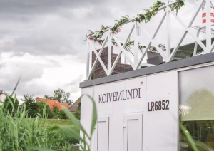 Skats uz Carnikavas kuģīti niedrēs