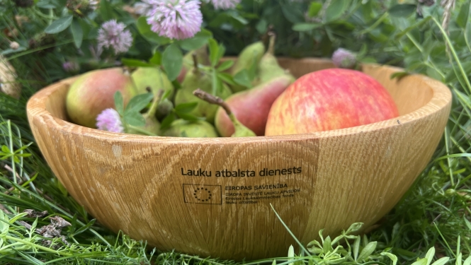 koka bļoda nolikta zālē, iekšā sarkani āboli