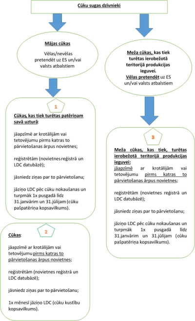 Piemērs par cūkām
