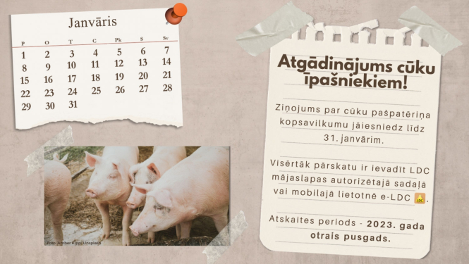 Atgādinājums cūku īpašniekiem