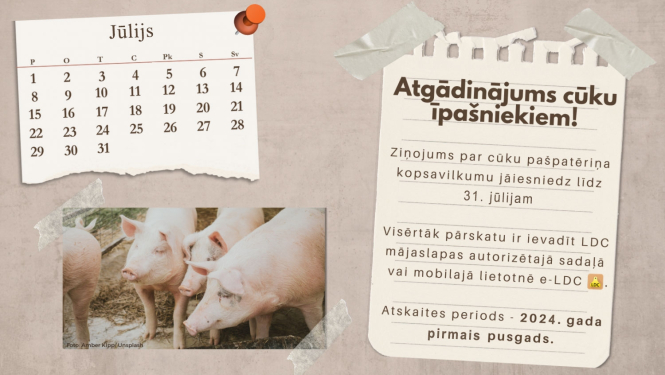 Atgādinājums cūku īpašniekiem