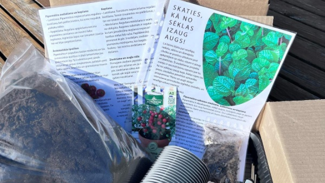 Stādīšanas komplekts pirmskolas izglītības iestādēm