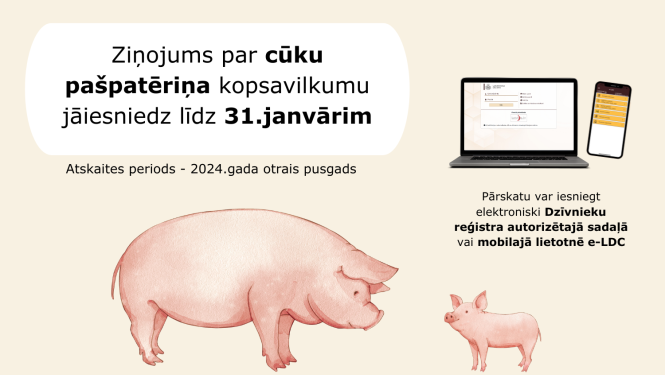 Atgādinājums cūku īpašniekiem