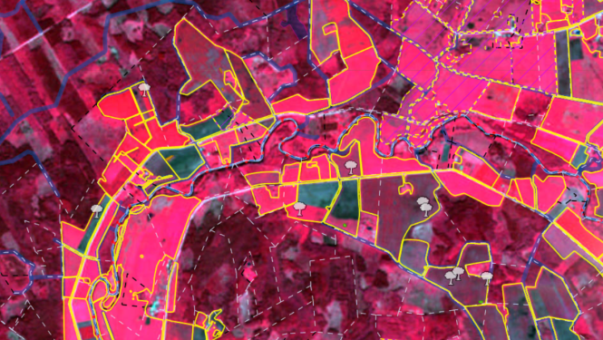 Sentinel-2 satelīta attēls, kas pārveidots infrasarkanajā attēlā ar dzeltenām lauku robežām