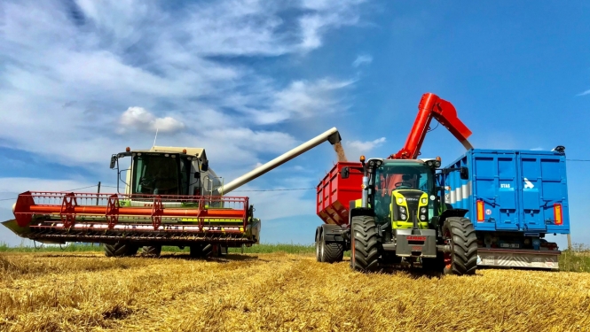 Kombains un traktors uz lauka ražas laikā