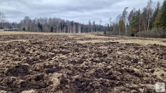 Lauka postījumi