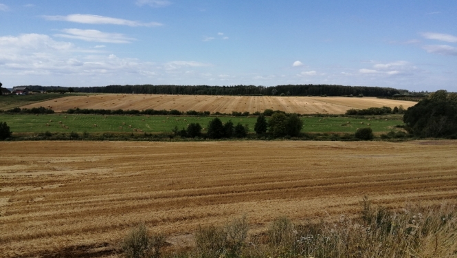 Lauku skats