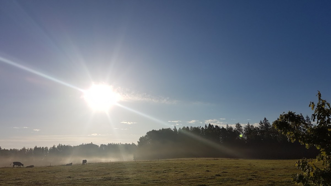Saules apspīdēta pļava un lauks.
