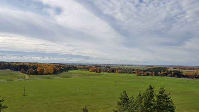 Ainava ar zaļu lauku un kokiem