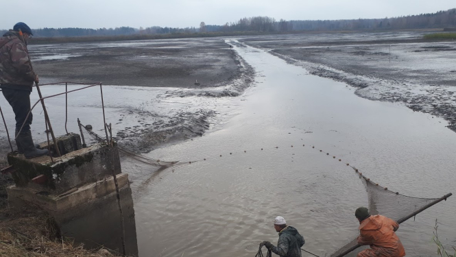 Akvakultūraas dīķis