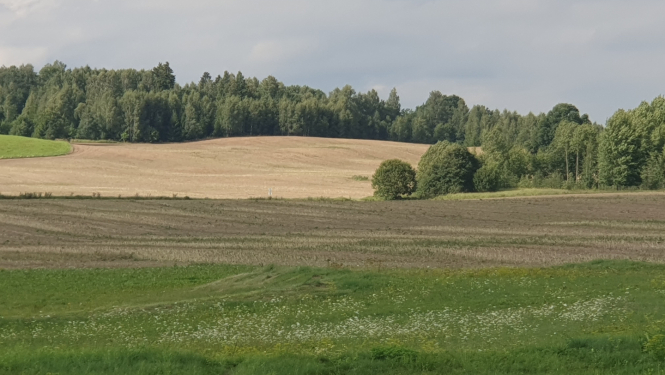 Lauku skats ar pļavu priekšplānā, uzartu lauku vidusplānā un krūmi, koku zonu fonā
