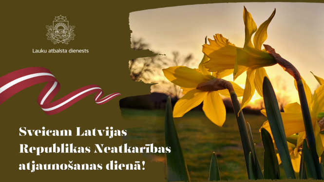 Apsveikums Latvijas Republikas neatkarības atjaunošanas dienā ar uzrakstu, LAD logo un narcisēm