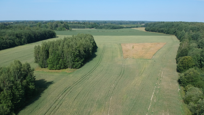 Skats uz zaļiem laukiem un mežiem vasarā no drona