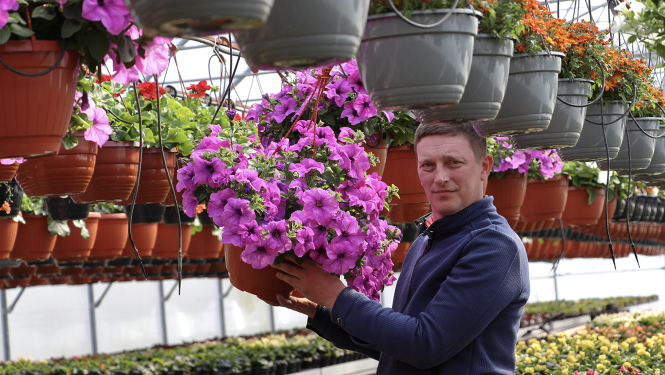 Saimniecības īpašnieks ar violetu ziedu podu