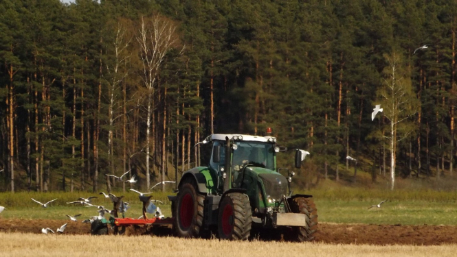 Traktors ar arklu ar zemi, apkārt lido putni, fonā mežs