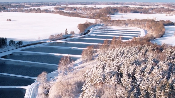 Zivju dīķi ziemā no drona lidojuma