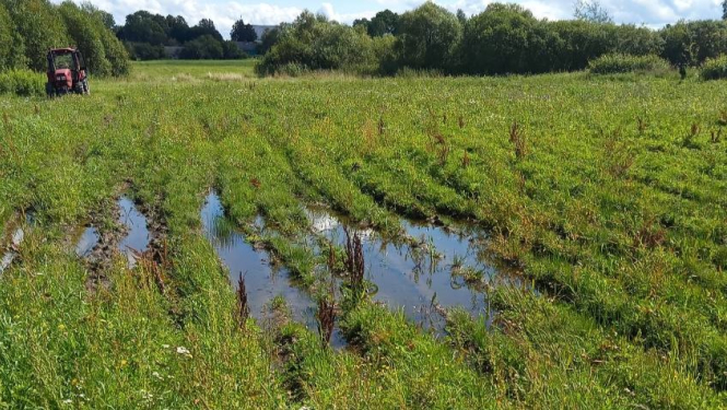 Applūdis lauks ar vagām, starp kurām ir ūdens, aizmugures fonā krūmu josla un sarkans traktors