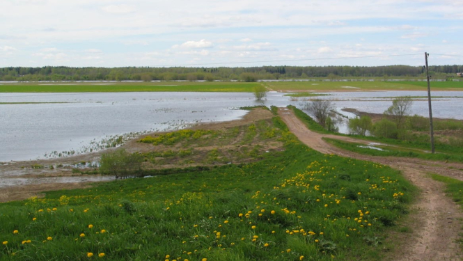 Applūdis lauku ceļš un lauks