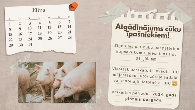 Atgādinājums cūku īpašniekiem