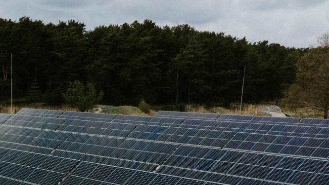 Fonā zilas debesis un zaļš mežs, priekšplānā saules paneļi.