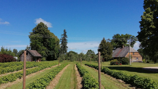 ZS Baiciems dārzs un ēkas