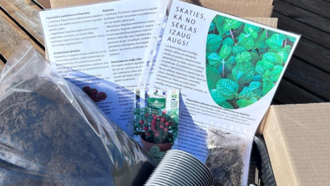 Stādīšanas komplekts pirmskolas izglītības iestādēm