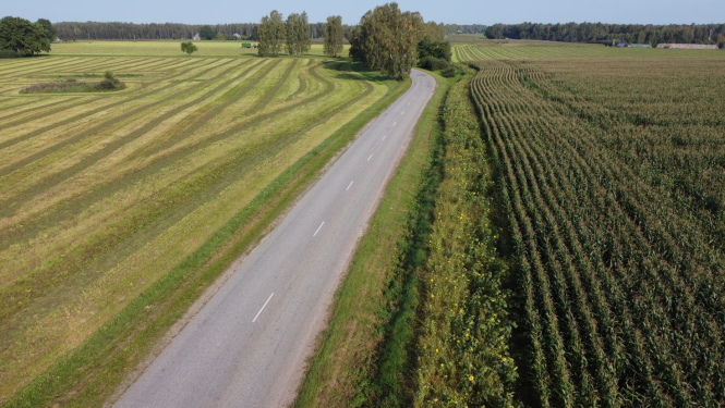 no drona fotografēts lauku ceļs tam abās pusēs lauki tālumā koki un krūmi