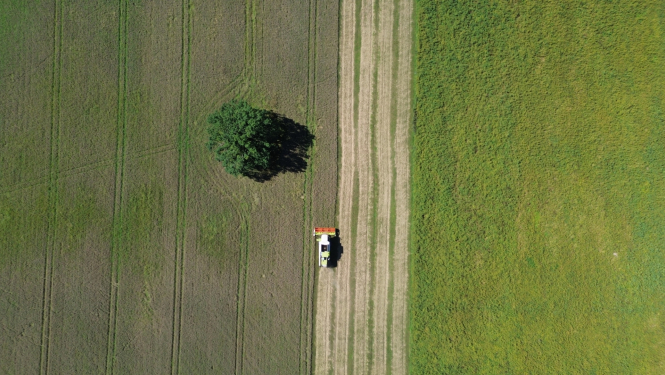 Skats no drona uz lauku ar pļaujmašīnu, kas pļauj lauku