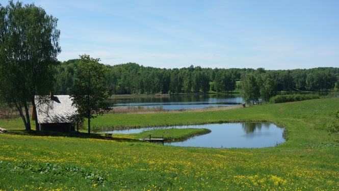 Lauku saimniecība ar dīķi