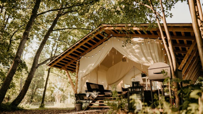 Glempinga telsts no ieejas, apkārt koki