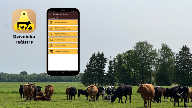 Pļava, kurā ganās daudz brūnas un melnas govis, virs tās mobilās lietotnes skats tālrunī un logo