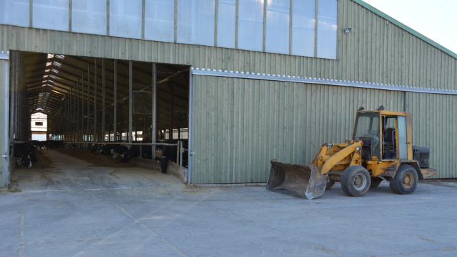 Skats uz govju kūts ieeju