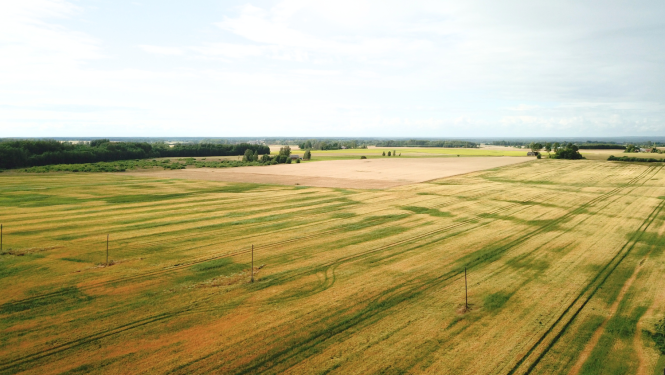 Atbalsts īstermiņa aizdevuma veidā lauksaimniekiem ir palielināts no 40 uz 60 eiro