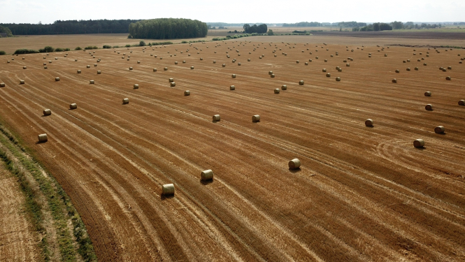 Lauks ar ruļļiem pēc ražas novākšanas