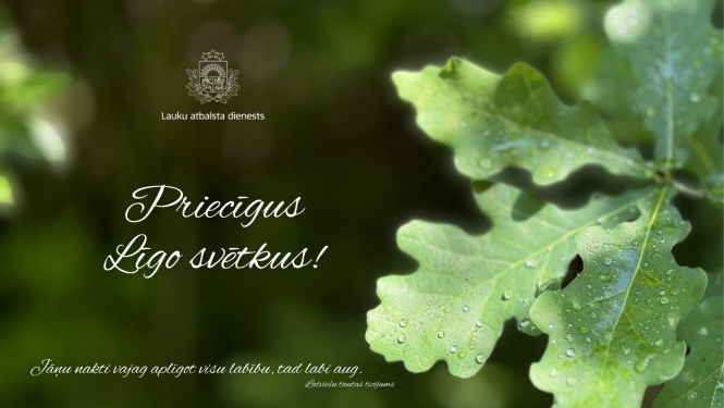 Līgo apsveikums ar ozollapām