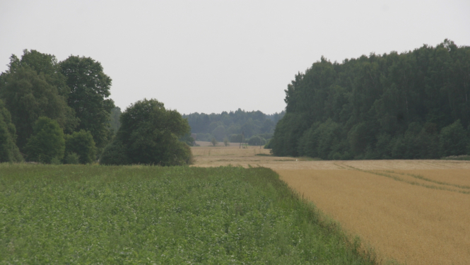 Lauka skats ar divām kultūrām